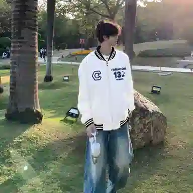fdragon ins