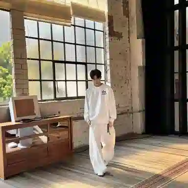 fdragon ins