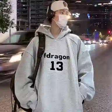 fdragon ins
