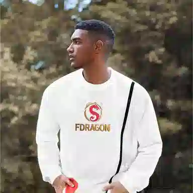 fdragon ins