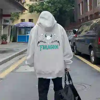 fdragon ins