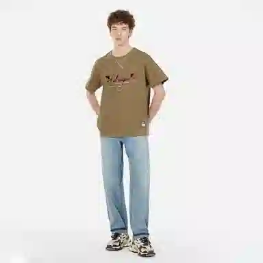 fdragon T