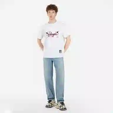 fdragon T