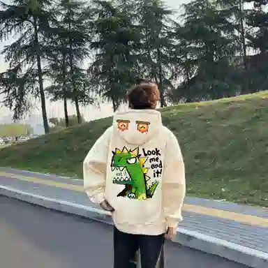 fdragon ins