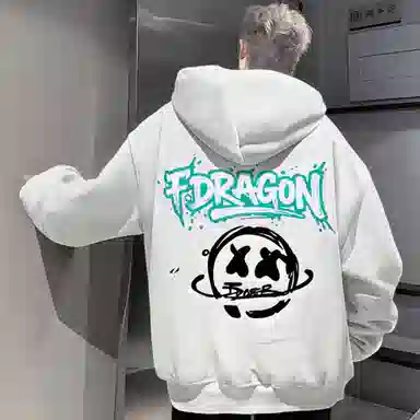 fdragon ins