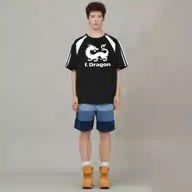 fdragon T