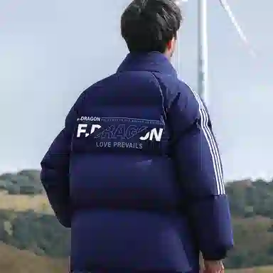 fdragon