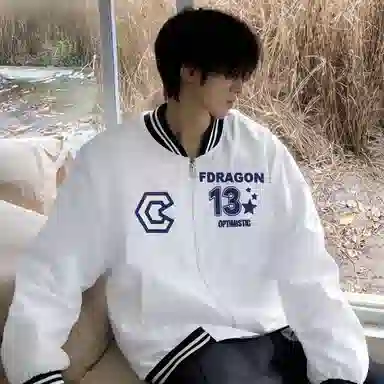 fdragon ins