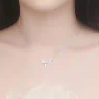 LIPSW 999