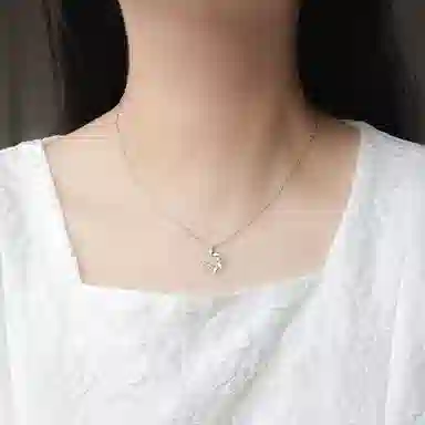 LIPSW 999