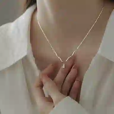 LIPSW s990