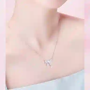 LIPSW ins s925
