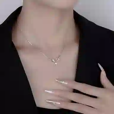 LIPSW 999