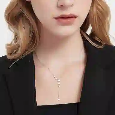 LIPSW 925