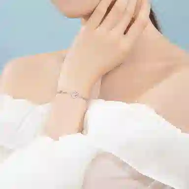 LIPSW insins 925