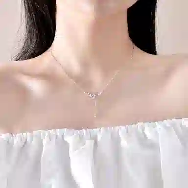 LIPSW 999