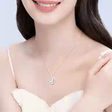 LIPSW 925