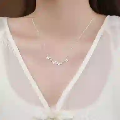 LIPSW 999