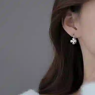 LIPSW ins 999