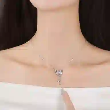 LIPSW 999
