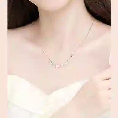 LIPSW 925
