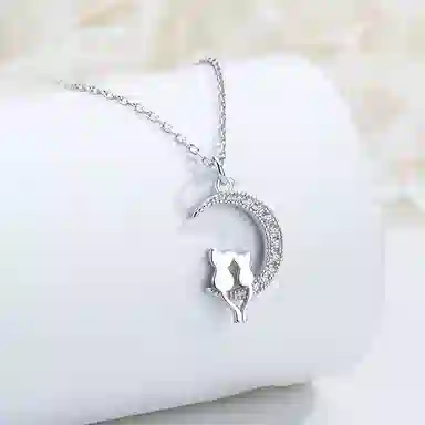 LIPSW 925