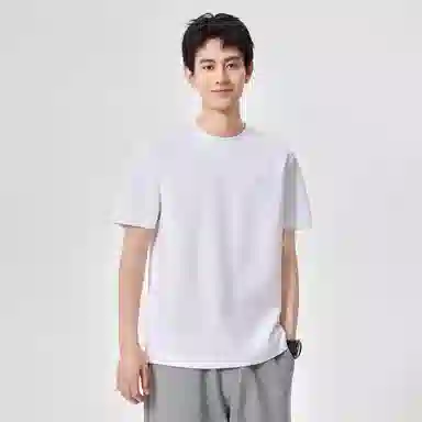 Hansca T