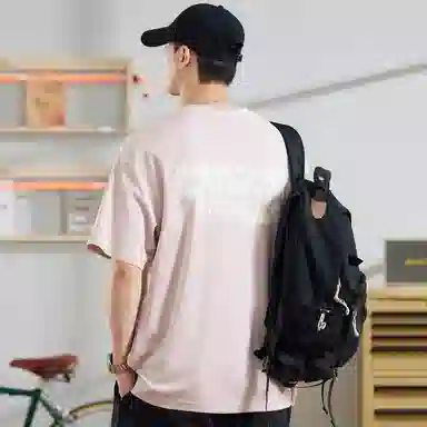 Hansca T