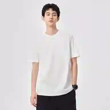 Hansca T