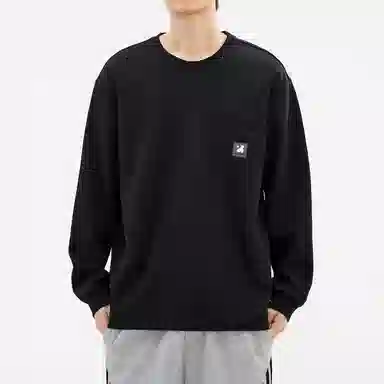 Hansca T