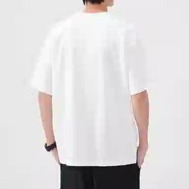 Hansca 100T