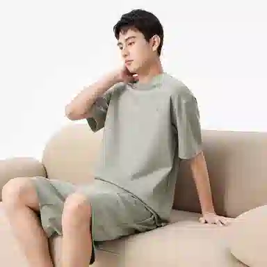 Hansca T
