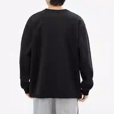 Hansca T