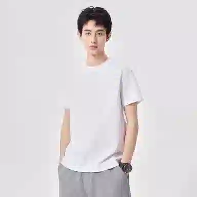 Hansca T