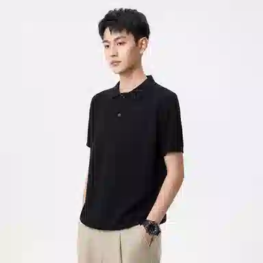Hansca Polo