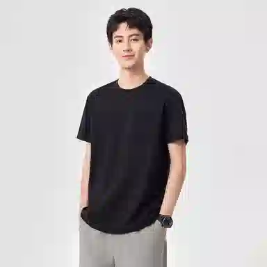 Hansca T