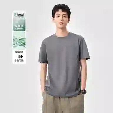 Hansca T