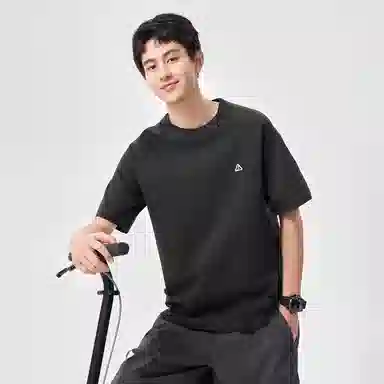 Hansca T