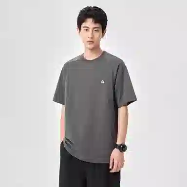 Hansca T