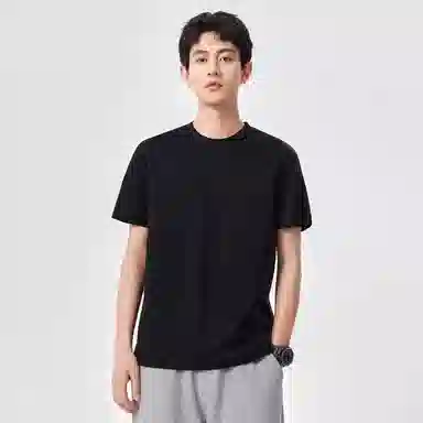 Hansca T