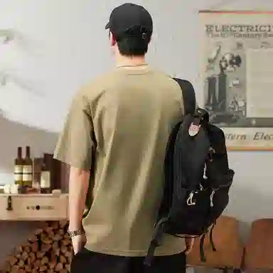 Hansca T