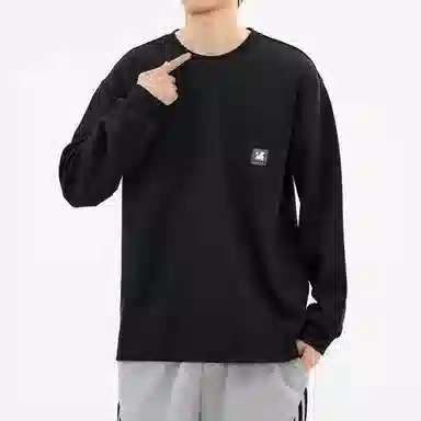 Hansca T