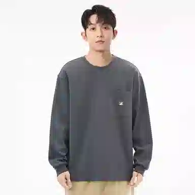 Hansca T