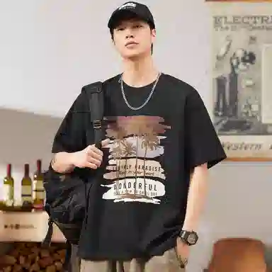 Hansca T