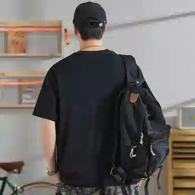 Hansca T