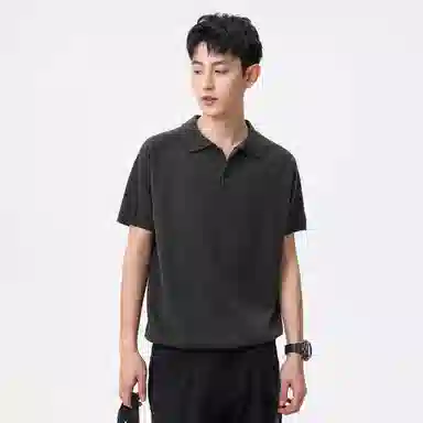 Hansca Polo
