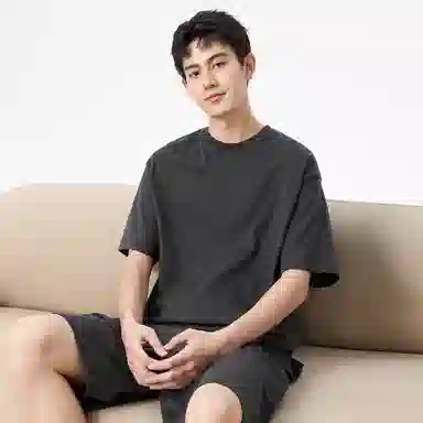 Hansca T