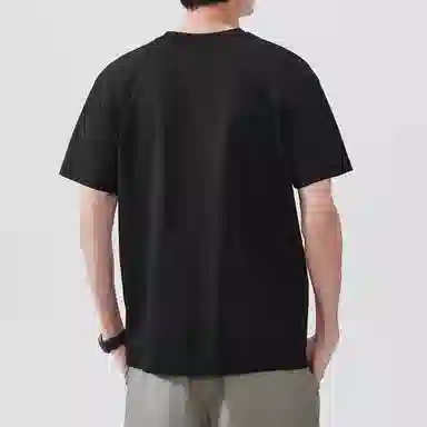 Hansca 100T