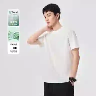 Hansca T