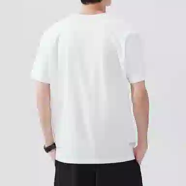 Hansca T